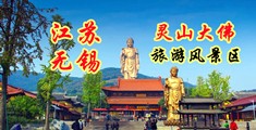 韩国三级车震江苏无锡灵山大佛旅游风景区